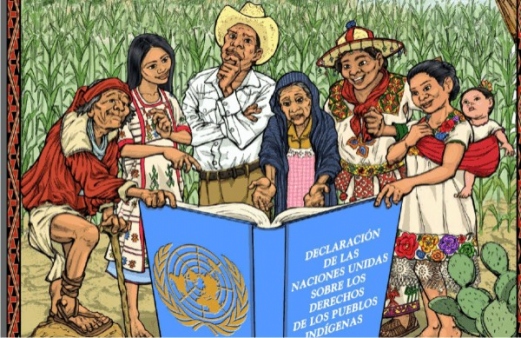 EL DERECHO DE LOS PUEBLOS INDIGENAS el derecho de los pueblos indigenas: